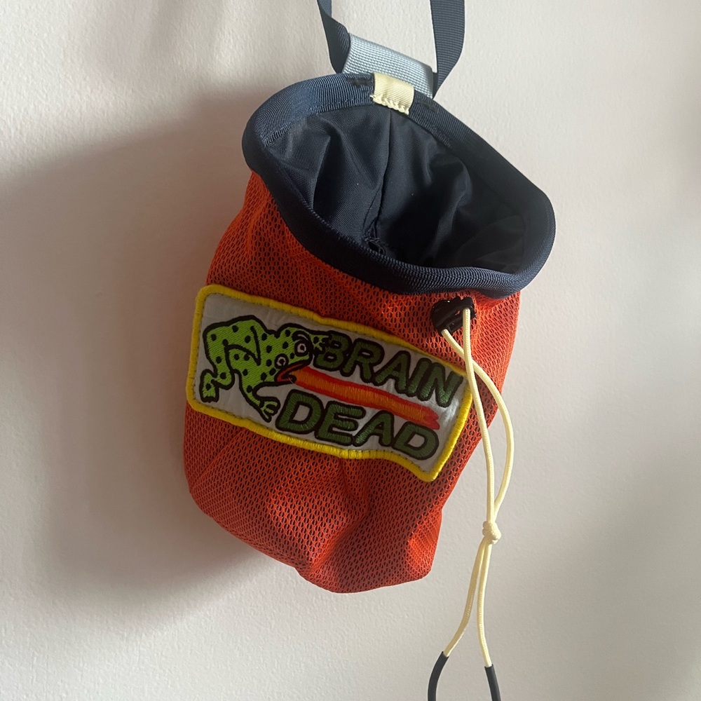 Nwot braind dead x north face Chalk bag